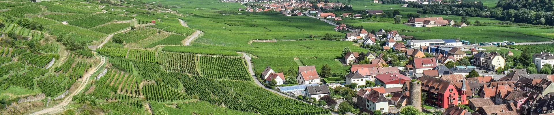 Alsace: route des vins - image